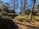 Scenic pathway through lush greenery leading to a tranquil lake view, showcasing the property's natural beauty at 14830 Se 61St Street Rd, Ocklawaha, FL 32179