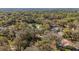 Expansive aerial view of the neighborhood showcasing the lush greenery and beautiful homes with private pools at 19009 Sw 98Th Loop, Dunnellon, FL 34432