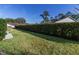 Expansive grassy backyard with tall hedges offering privacy at 2444 Se 18Th Cir, Ocala, FL 34471