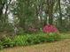 Scenic yard with vibrant azaleas and lush foliage, creating a peaceful natural retreat at 10975 Sw 69Th Cir, Ocala, FL 34476