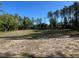 Expansive lot surrounded by mature trees under a clear blue sky at 12205 Sw 71St Lane Rd, Ocala, FL 34481