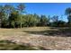 Expansive lot surrounded by mature trees under a clear blue sky at 12205 Sw 71St Lane Rd, Ocala, FL 34481