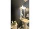 Chic powder room, dark walls, pedestal sink, and mirror at 3642 Nw 55Th Cir, Ocala, FL 34482