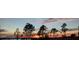 Scenic sunset view with silhouette of trees along the horizon at 547 Tanaro Ln, Haines City, FL 33844