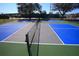 Community Pickleball court is fenced and well maintained with net and new paint at 16331 Sw 12Th Ter, Ocala, FL 34473