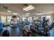 Well-equipped fitness center with modern treadmills, elliptical machines, weights, and ample natural light at 4950 Sw 45Th Cir, Ocala, FL 34474