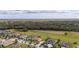 Stunning aerial view of a luxury community with beautiful homes, manicured lawns, and a nature preserve backdrop at 31771 Red Tail Blvd, Sorrento, FL 32776