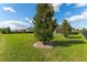 Spacious backyard with young trees at 31771 Red Tail Blvd, Sorrento, FL 32776