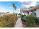 Landscaped front walkway leads to this charming home, enhanced by lush greenery and tall palm trees at 8968 Sw 116Th Place Rd, Ocala, FL 34481