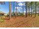 View of house from the backyard, many pine trees present at 451 Hickory Course Loop, Ocala, FL 34472