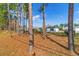 View of the house from the backyard, surrounded by tall pine trees at 451 Hickory Course Loop, Ocala, FL 34472