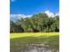 Backyard with a large grassy area, scattered sandy patches, and a backdrop of dense trees and blue skies at 11064 Ne 212Th Ln, Fort Mc Coy, FL 32134