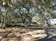 Beautiful land with mature trees and dappled sunlight creating a serene setting at 11064 Ne 212Th Ln, Fort Mc Coy, FL 32134