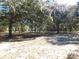 Beautiful land with mature trees and dappled sunlight creating a serene setting at 11064 Ne 212Th Ln, Fort Mc Coy, FL 32134