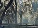 Picturesque view of trees with Spanish moss at 11064 Ne 212Th Ln, Fort Mc Coy, FL 32134