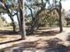 Scenic landscape with mature trees at 11064 Ne 212Th Ln, Fort Mc Coy, FL 32134