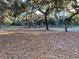 Open pasture with mature oak trees and Spanish moss at 11064 Ne 212Th Ln, Fort Mc Coy, FL 32134