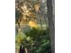 Beautiful property featuring mature trees and Spanish moss, creating a serene and picturesque landscape at 11064 Ne 212Th Ln, Fort Mc Coy, FL 32134