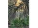Beautiful property with sunbeams through moss-draped trees and lush native foliage at 11064 Ne 212Th Ln, Fort Mc Coy, FL 32134