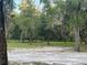 Picturesque vacant lot with mature trees and Spanish moss, providing a peaceful and natural setting at 11064 Ne 212Th Ln, Fort Mc Coy, FL 32134