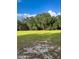 Large grass area surrounded by trees, under blue skies with fluffy clouds at 11064 Ne 212Th Ln, Fort Mc Coy, FL 32134