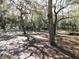 Large wooded lot with Spanish moss draped on the trees, creating a serene and natural setting at 11064 Ne 212Th Ln, Fort Mc Coy, FL 32134