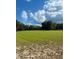 Expansive green field beneath a blue sky dotted with fluffy clouds and trees at 11064 Ne 212Th Ln, Fort Mc Coy, FL 32134