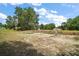 Large backyard with newly installed well, septic system, and lush trees at 174 Pine Crse, Ocala, FL 34472