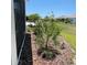 Well-maintained backyard featuring lush landscaping and a tranquil view at 7682 Sw 89Th Ct, Ocala, FL 34481