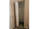 Linen closet featuring wire shelving for storage at 113 Guava Ter, Ocklawaha, FL 32179