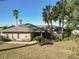 Single-story home with palm trees and a stone accent wall at 21343 Sw Plantation St, Dunnellon, FL 34431