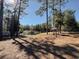 View of a cottage-style house on a vast property with a picnic table, surrounded by mature trees and lush greenery at 9625 Sw 207Th Cir, Dunnellon, FL 34431