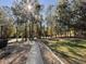 Landscaped street view featuring a sidewalk with verdant trees and shrubbery on a sun-drenched day at 9625 Sw 207Th Cir, Dunnellon, FL 34431