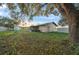 Large tree in the backyard, providing shade at 20 Pine Trace Run, Ocala, FL 34472