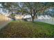 Backyard with large tree and privacy fence at 20 Pine Trace Run, Ocala, FL 34472