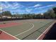 Outdoor basketball court with painted lines and goals at 20 Pine Trace Run, Ocala, FL 34472