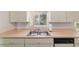 Bright kitchen featuring a stainless steel sink, white cabinets, and a garden view at 6184 Sw 101St Pl, Ocala, FL 34476