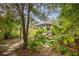 Stone path garden leading to home nestled in trees at 8465 Sw 202Nd Ter, Dunnellon, FL 34431