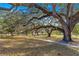 Spacious park with a scenic path and majestic oak trees at 13183 Sw 113Th Place, Dunnellon, FL 34432