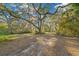 Mature trees and grassy area near the property at 14221 Ne 47Th Ave, Anthony, FL 32617