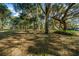 Large grassy yard with mature oak trees at 14221 Ne 47Th Ave, Anthony, FL 32617