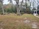 Large backyard with a shed and landscaping at 5555 Sw 107Th St, Ocala, FL 34476