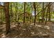 Rustic wooden pergola in wooded backyard at 7885 Sw 202Nd Ave, Dunnellon, FL 34431