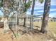 Metal dog kennel in backyard, surrounded by trees at 14320 Se 96Th Ct, Summerfield, FL 34491