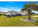 Landscaped front yard with palm tree and well-manicured lawn at 1918 Walden Way, The Villages, FL 32162