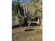 Mature trees and grassy backyard with a partially fenced area at 2317 Ne 37Th St, Ocala, FL 34479