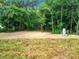 Partially cleared lot with sandy soil and some vegetation at 4482 Sw Clearwater Ct, Dunnellon, FL 34431