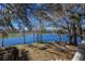 Scenic backyard with lake view and picnic table at 4925 Cr 309B, Lake Panasoffkee, FL 33538