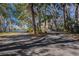 Long private driveway leading to a house nestled among palm trees at 4925 Cr 309B, Lake Panasoffkee, FL 33538