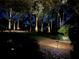 Backyard at night with pathway lighting at 5224 Se 44Th Cir, Ocala, FL 34480